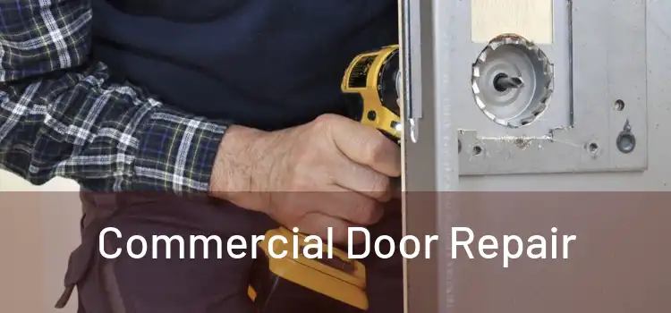 Commercial Door Repair