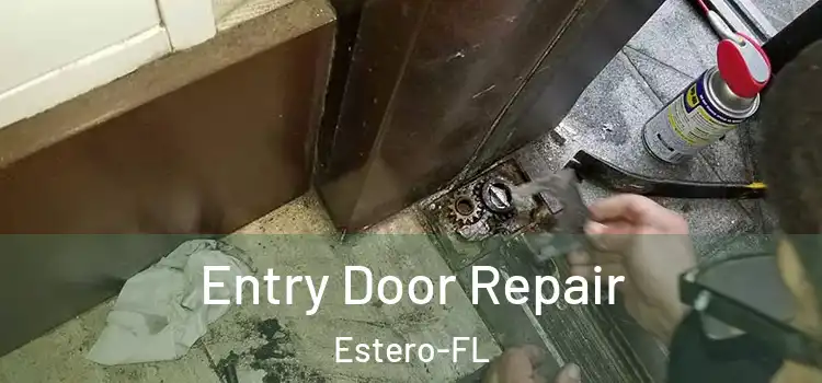Entry Door Repair Estero-FL