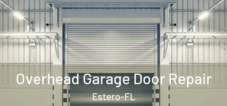  Overhead Garage Door Repair Estero-FL